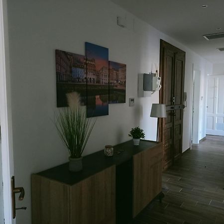 Casa Perugino Apartment Trieste Ngoại thất bức ảnh